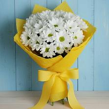 Букет цветов из:  Хризантемы в Борисовке