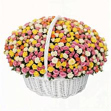 Премиум букет из: Розы в Борисовке