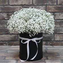 Цветочная композиция из Гипсофила в шляпной коробке в Борисовке