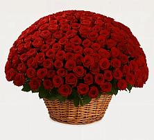 Премиум букет из: Розы в Борисовке