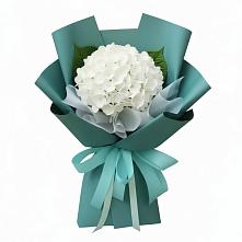 Букет цветов из:  Гортензия #REPLACE_PRED# Борисовке